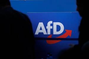 NPD-Urteil Blaupause für AfD? Politiker fordern Prüfung